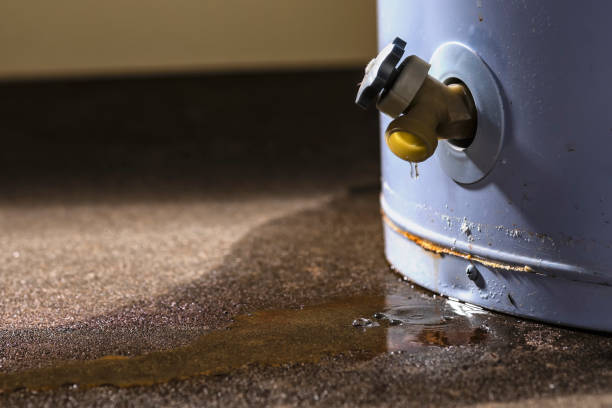 Best Water damage restoration near me  in West Fork, AR
