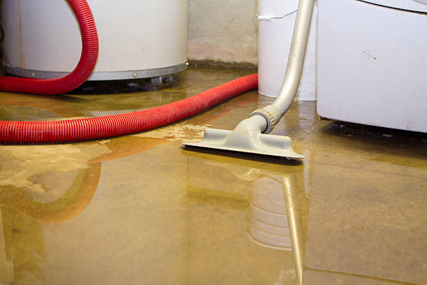 Best Flood restoration services  in West Fork, AR
