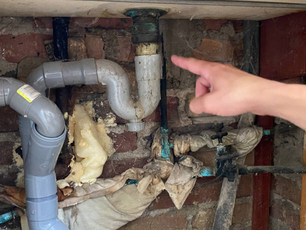 Best Local water damage restoration  in West Fork, AR