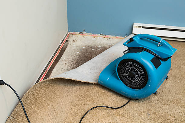 Best Flooded house restoration  in West Fork, AR